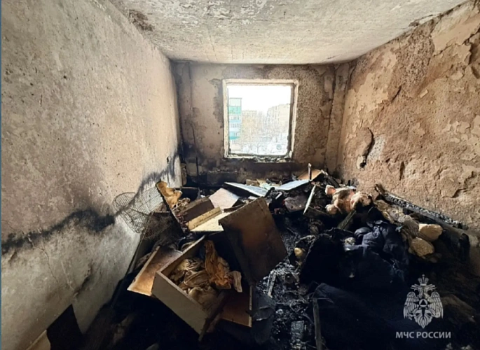 Фото: кадр донского МЧС