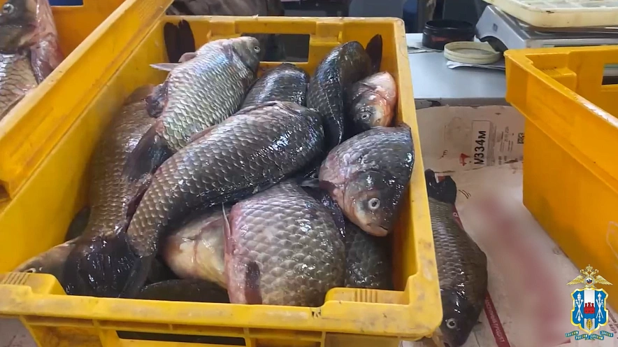 Фото: ГУ МВД РФ по РО