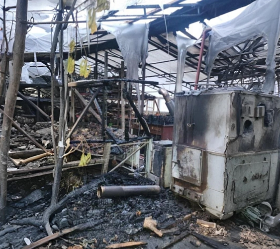 Фото: кадр донского МЧС