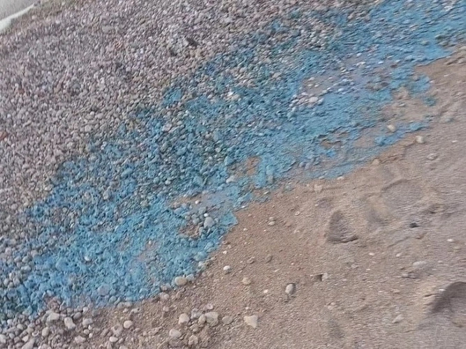 Фото: необычные водоросли на берегу Азовского моря \\ кадр из соцсетей