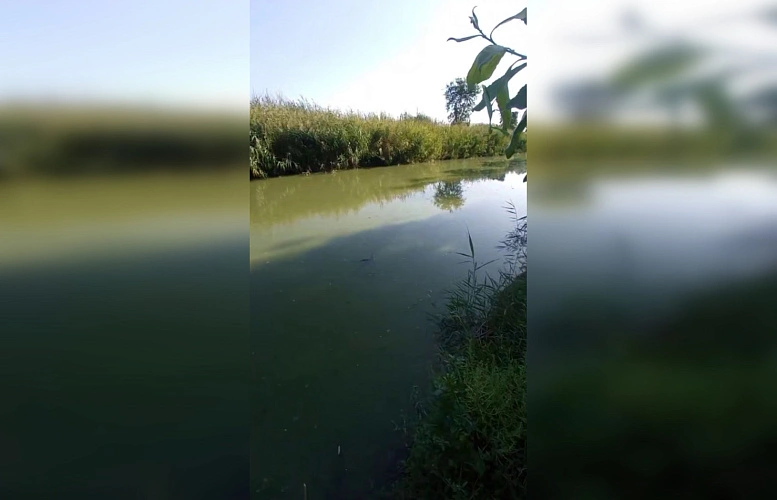 Фото: ТГ канала "БАТАЙСК ГОРОД"