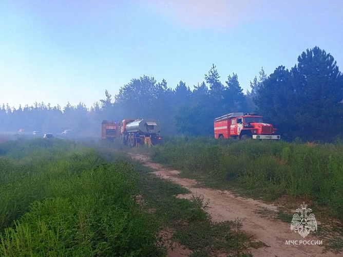 Фото: МЧС Ростовской области