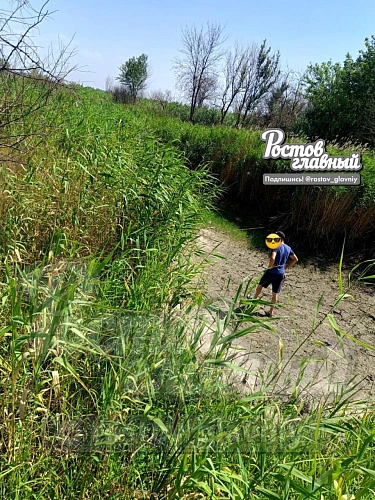 Фото: ТГ канала "РОСТОВ ГЛАВНЫЙ"