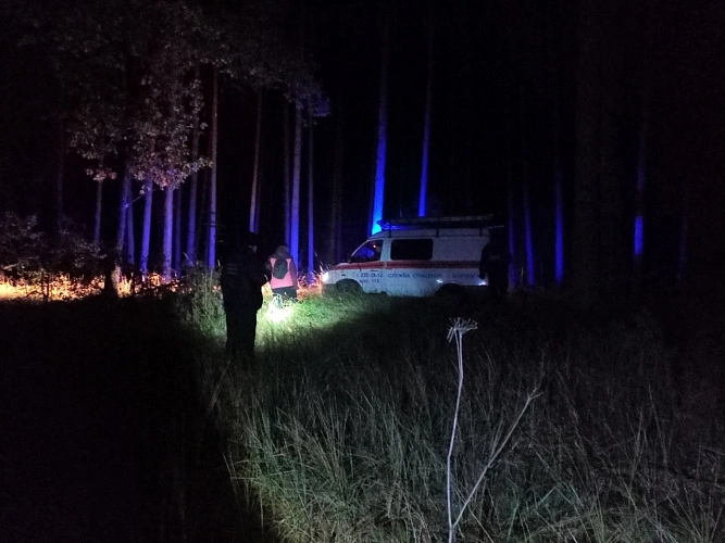 Фото: Под Воронежем нашли тело 70-летней ростовчанки, которая отправилась в грибной тур // фото поисково-спасательный отряд "Черноземье"