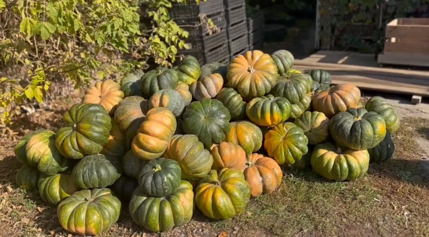 Фото: Ростовский-на-Дону зоопарк