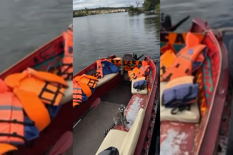 Фото: Парк птиц "Малинки"