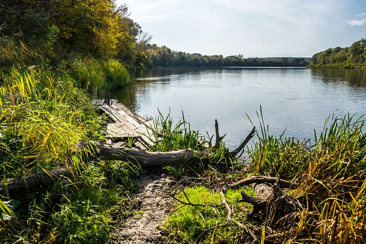 Фото: пресс-центр МТС