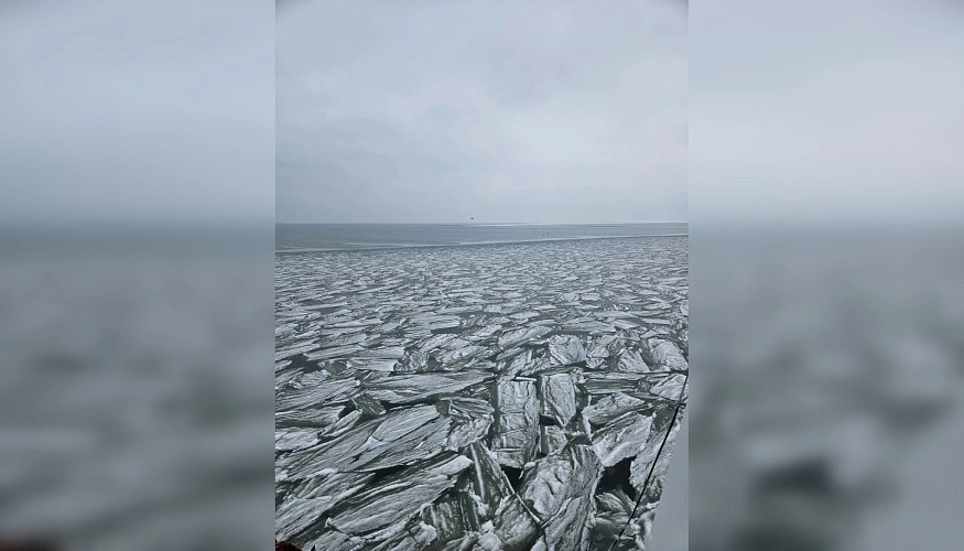 Фото: Пресс-служба ВНИРО