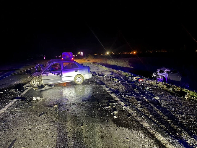 Фото: Прокуратура начала проверку из-за смертельного ДТП на трассе в Каменском районе // фото ГИБДД РО