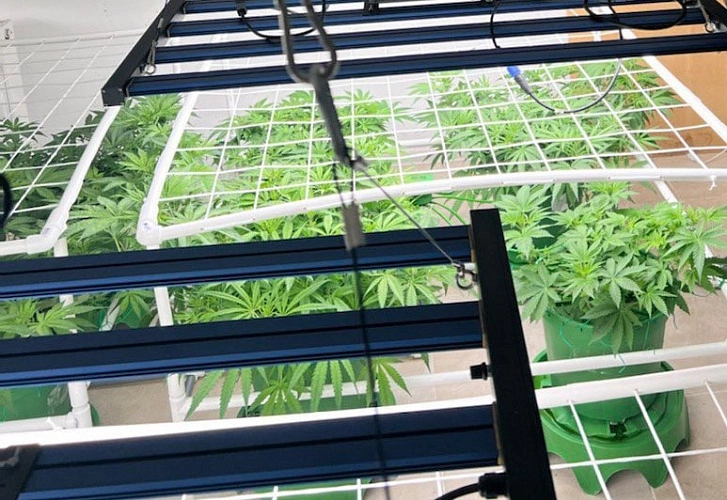 Фото: источника 1rnd.ru