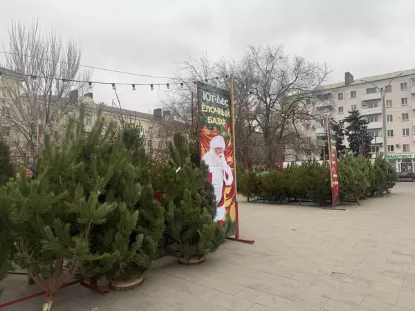 Фото: Дондэй