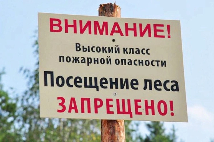 Фото: из публикаций 1Rnd