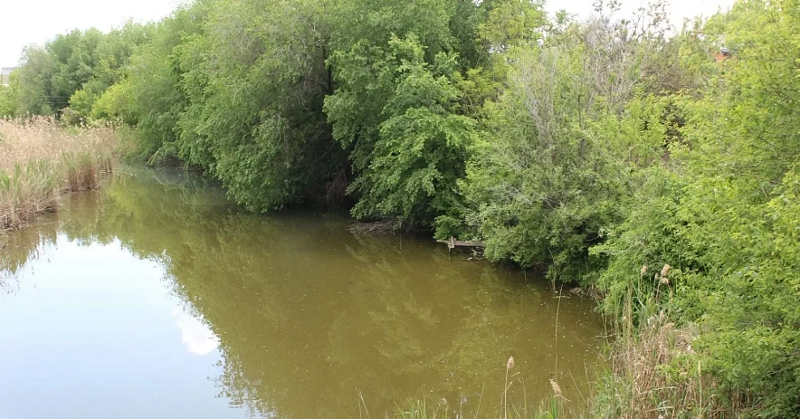 река терек в дагестане. старое русло реки читинка. река кубань краснодарский край. новое русло реки. новое русло реки.