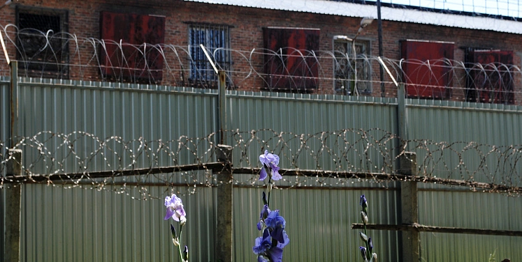 Фото: из публикаций 1Рнд