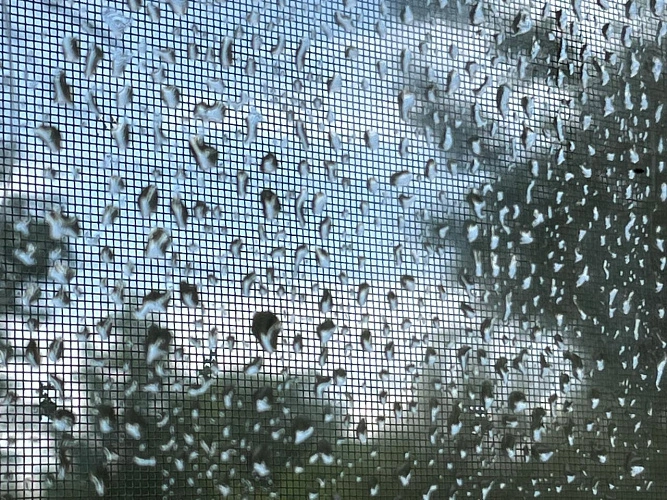 Фото: кадр 1Rnd