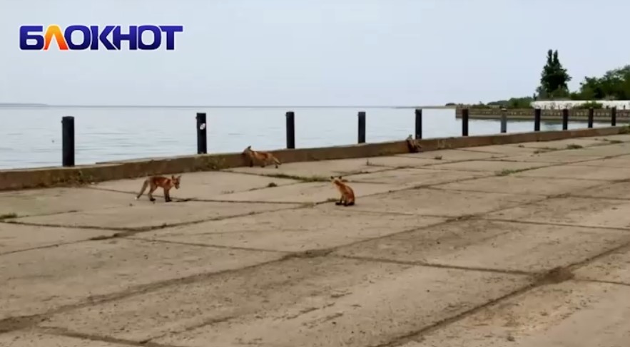 Фото: Блокнот Волгодонск