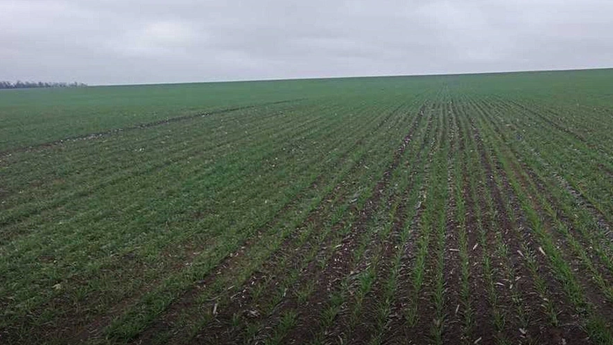 Фото: из публикаций 1Rnd