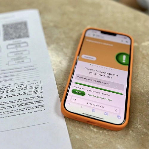 Фото: «ТНС энерго Ростов-на-Дону»