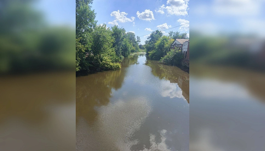 Фото: ТГ канала Новости Ростова-на-Дону