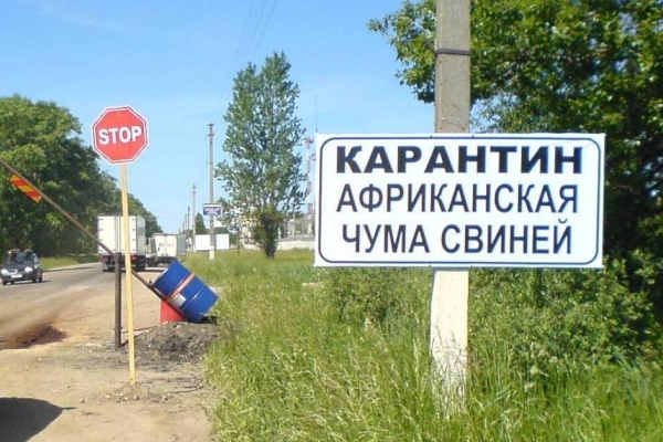Фото: Табличка о карантине по АЧС, кадр с сайта agrarnik.ru