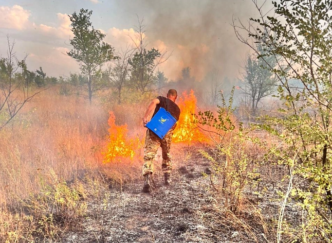 Фото: из публикаций 1Rnd