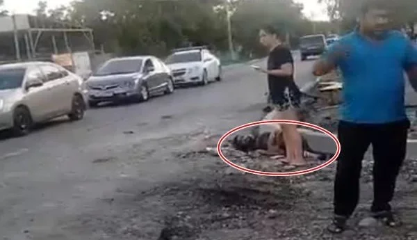 Фото: Очевидец