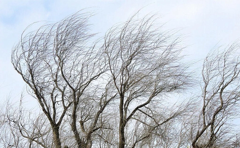 Фото: Нейросеть