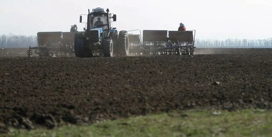 Фото: в Ростовской области нашли опасного мотылька // фото из публикаций 1rnd