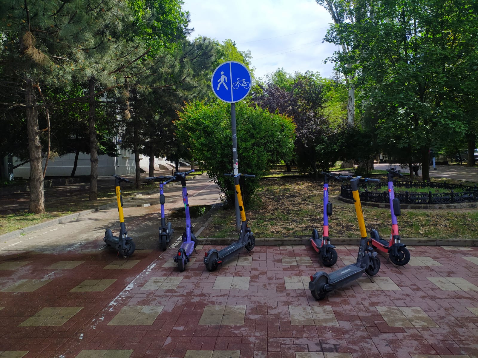 Самокаты2.jpeg