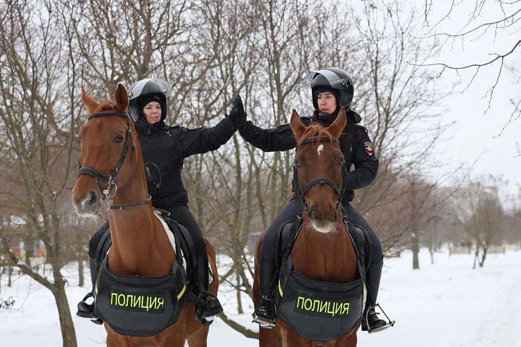 Фото: из архива МВД по Ростовской области 