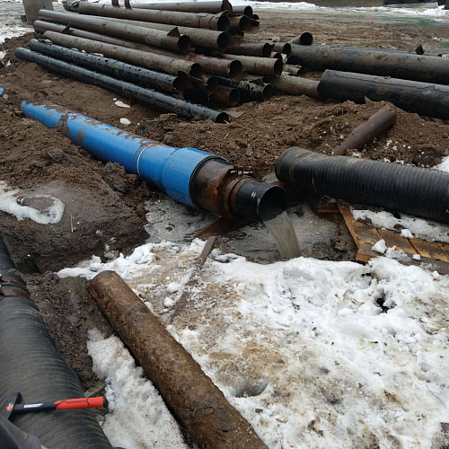 Фото: из архива ТГ канала Светланы Камбуловой