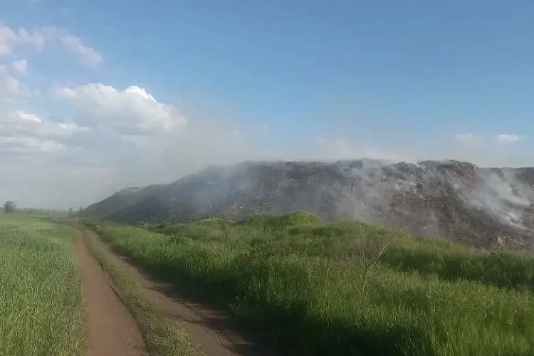 Фото: ТГ канала Антонины Пшеничной