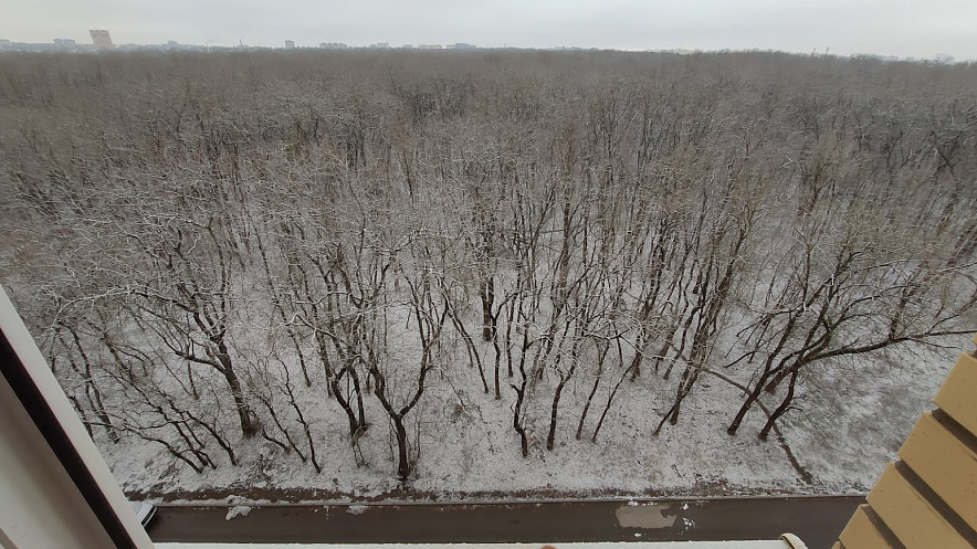 Фото: Снегопад 11 марта в Ростове, кадр очевидца