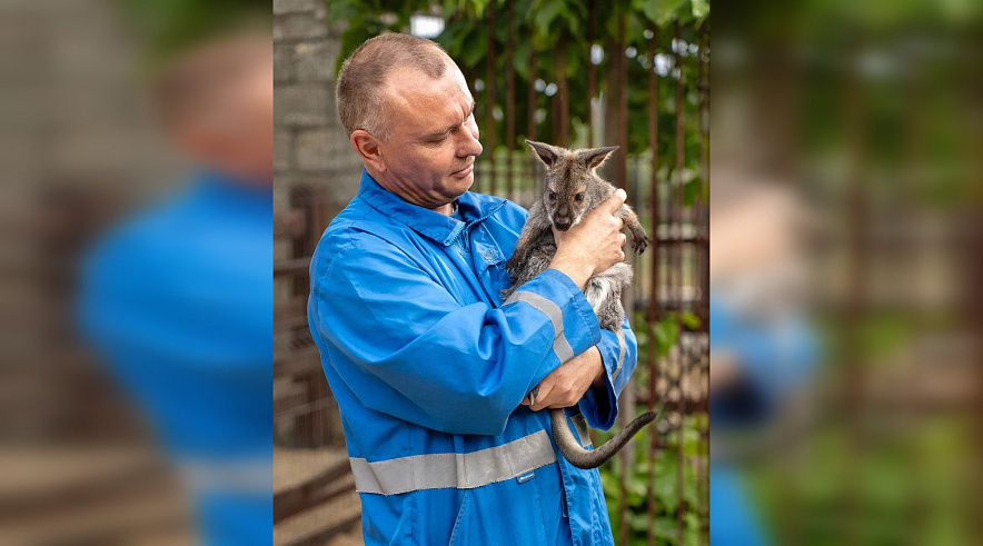 Фото: Парк «Лога»