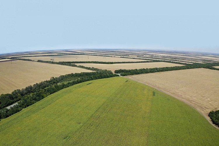 Фото:  Управление Россельхознадзора по РВАОиРК