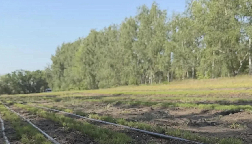 Фото: из архива Минприроды Ростовской области