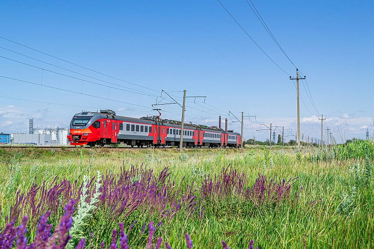 Фото: СКППК