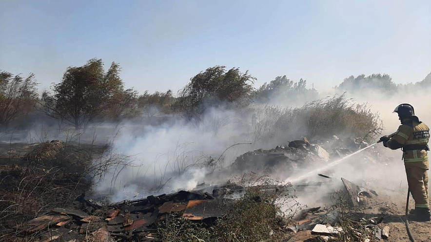 Фото: Лесной пожар в Ростовской области, кадр из архива 1rnd