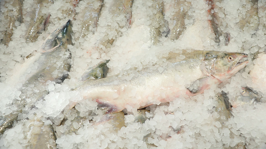 Фото: В Ростове срок годности мороженой рыбы  незаконно продлили на год// с сайта kamgov.ru