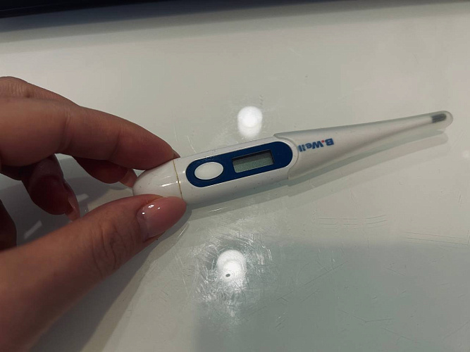 Фото: редакции 1rnd.ru