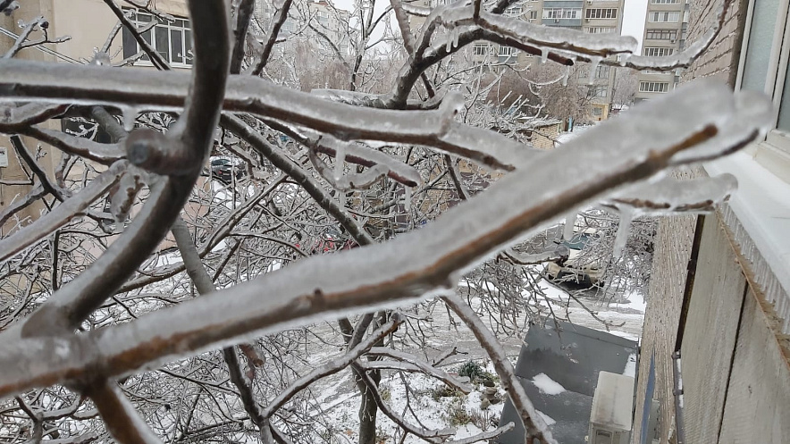 Фото: Ледяная глазурь на деревьях в Ростове, кадр 1rnd