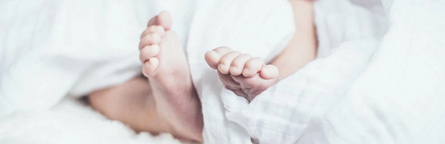 Фото: из архива публикаций 1rnd