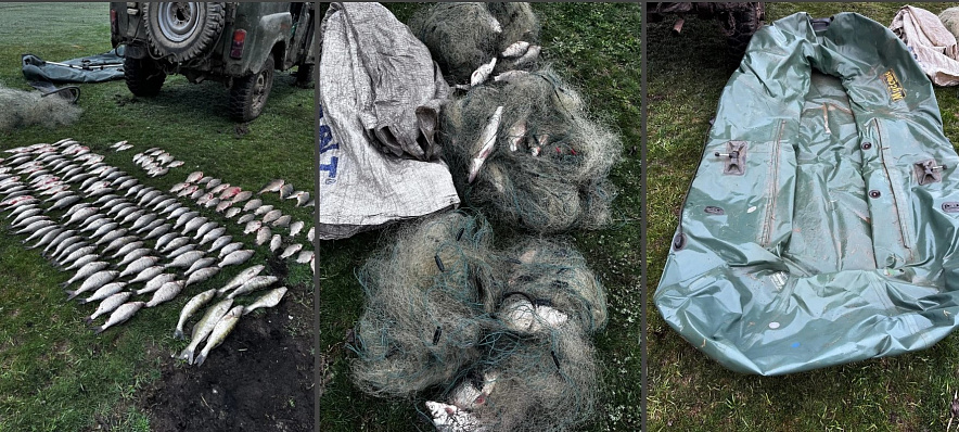 Фото: ГУ МВД РФ по РО