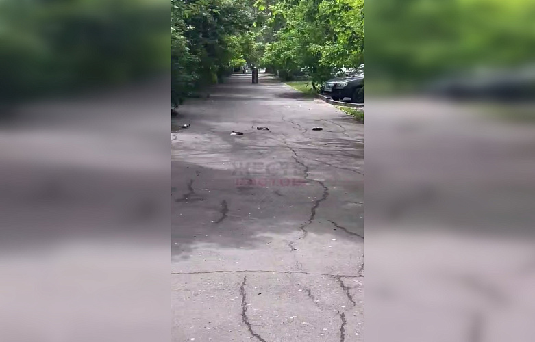 Фото: скрин из видео 