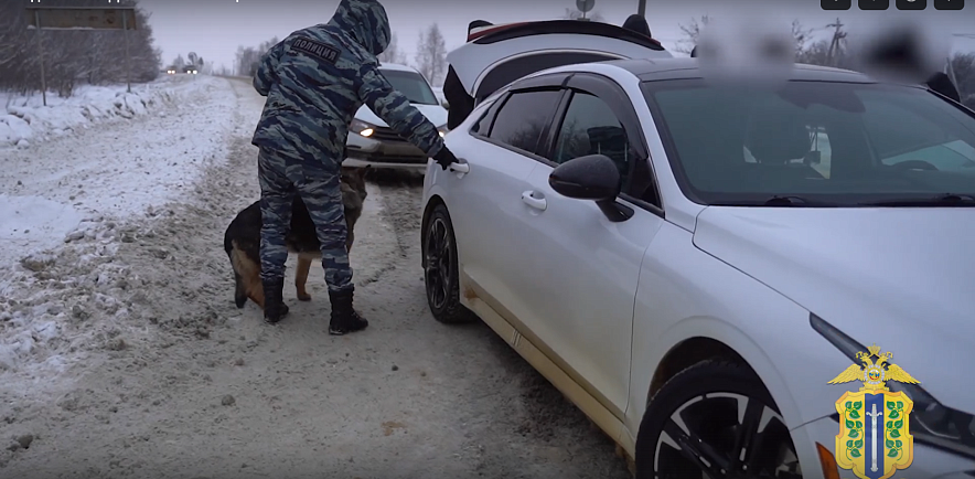 Фото: скрин из видео 