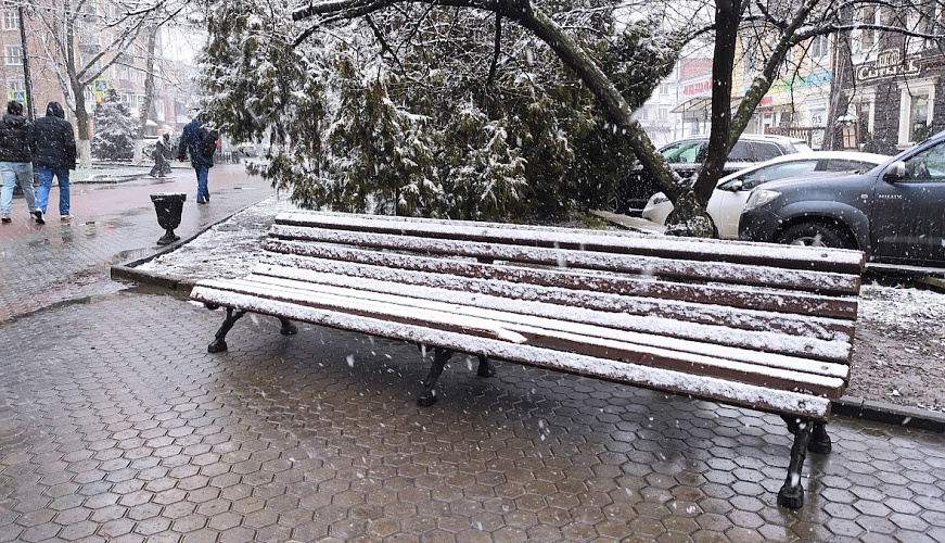 Фото: Мокрый снег в Ростове, кадр 1rnd