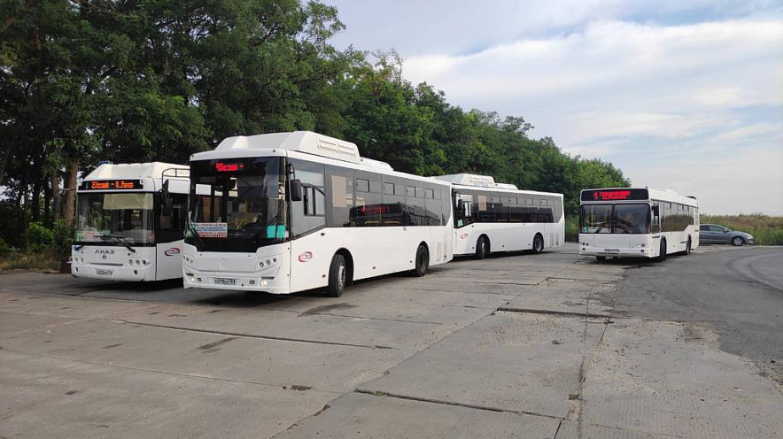 Фото: Автобусы в Ростове на конечной, фото - ТГ Алексея Логвиненко