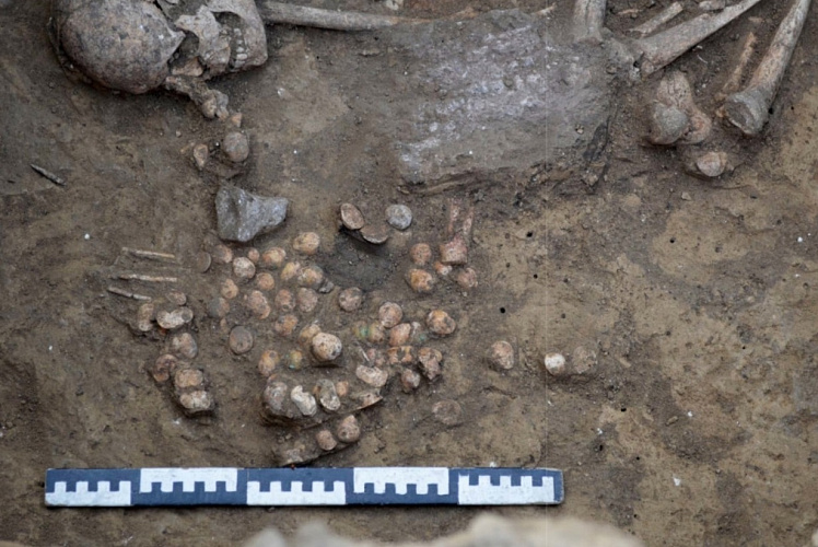 Фото: ЮНЦ РАН