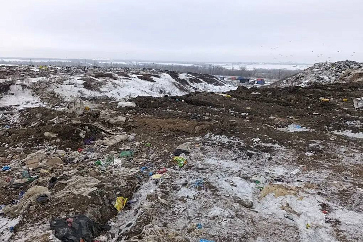 Фото: ТГ-канал Антонины Пшеничной