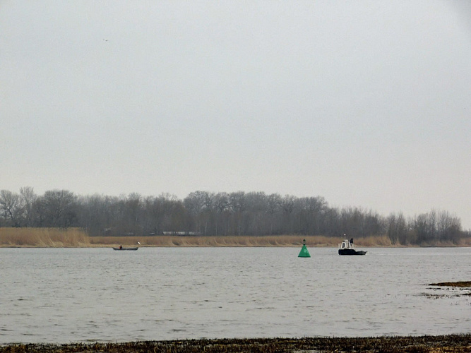 Фото: ВНИРО